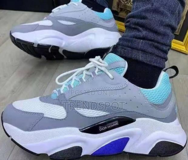 Dior Homie 40___45