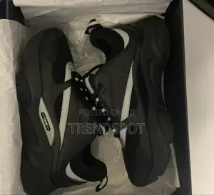 Dior Homie 40___45