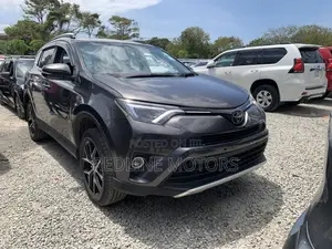 Toyota RAV4 SE AWD (2.5L 4cyl 6A) 2016 Gray