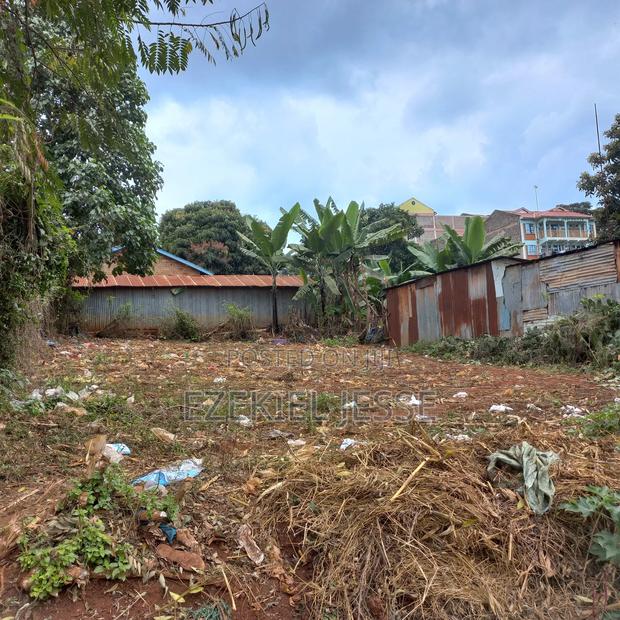 Embu Dallas Ring Road Plot (1/8 Acre) - thumbnail 2