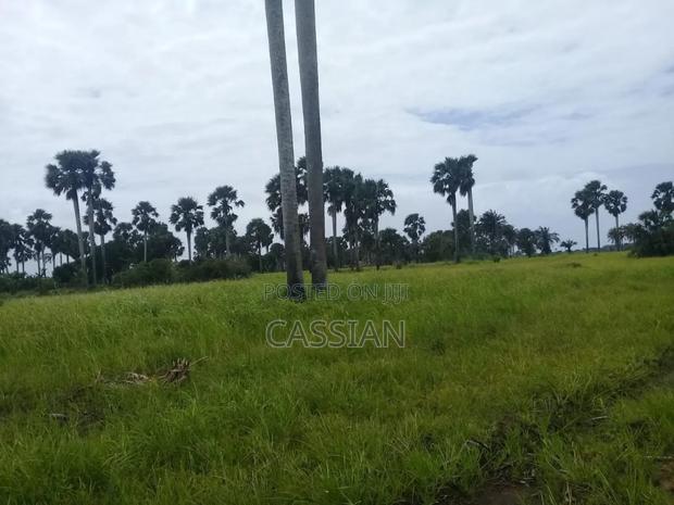 24 Acres Land With Title at Shimoni/Kidimu 750,000