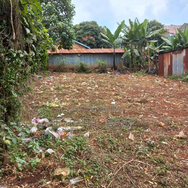 Embu Dallas Ring Road Plot (1/8 Acre) - thumbnail 3