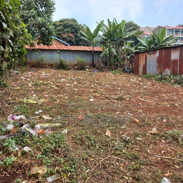 Embu Dallas Ring Road Plot (1/8 Acre) - thumbnail 4