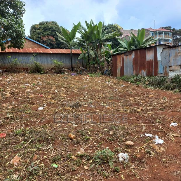 Embu Dallas Ring Road Plot (1/8 Acre) - thumbnail 5