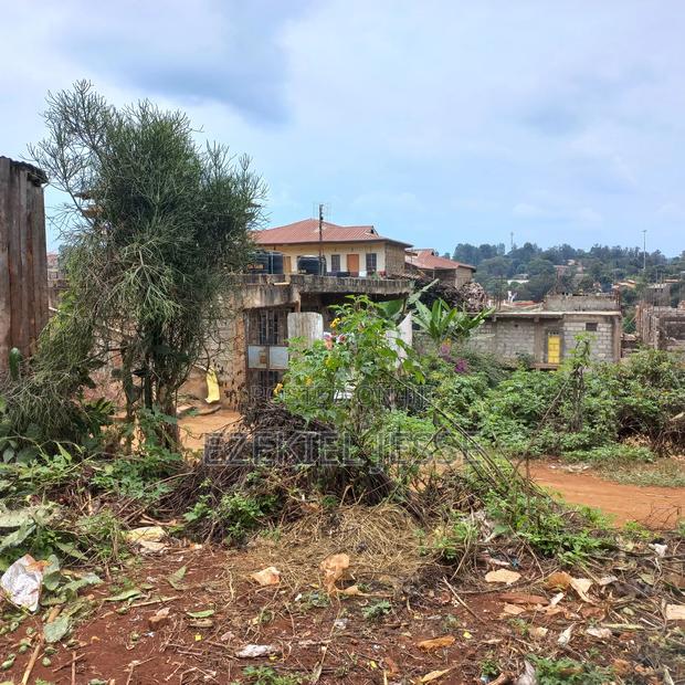 Embu Dallas Ring Road Plot (1/8 Acre) - thumbnail 7
