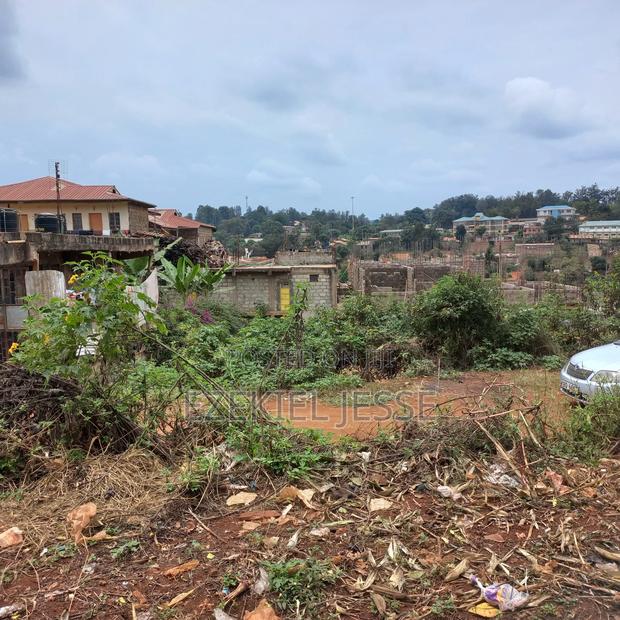 Embu Dallas Ring Road Plot (1/8 Acre) - thumbnail 8
