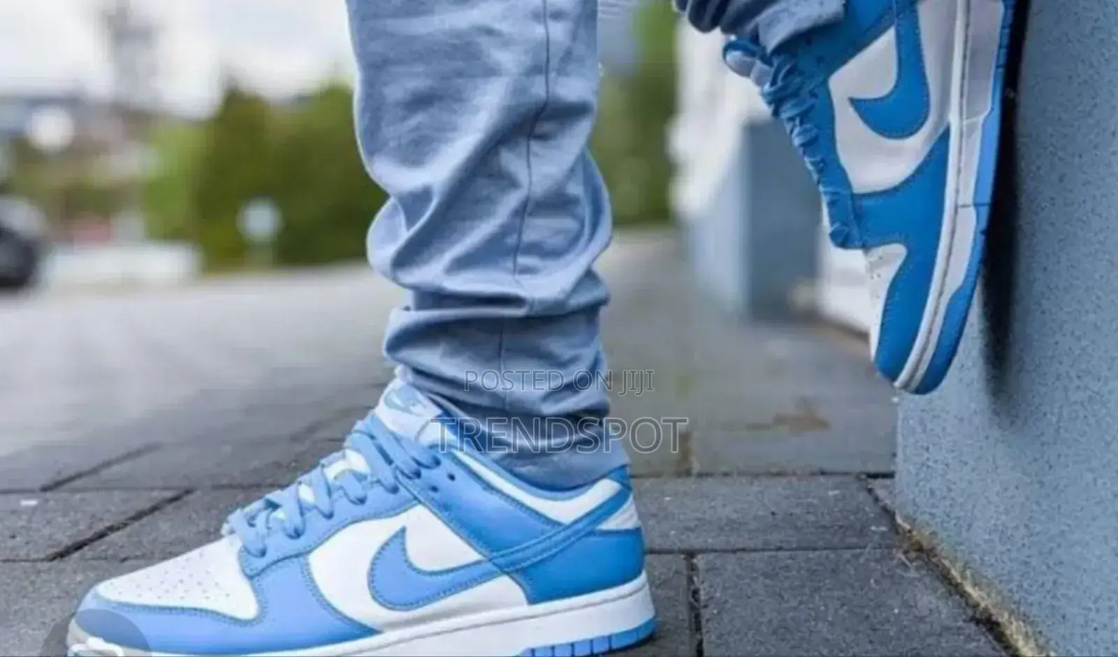 SB Dunks 37____42 at 2000