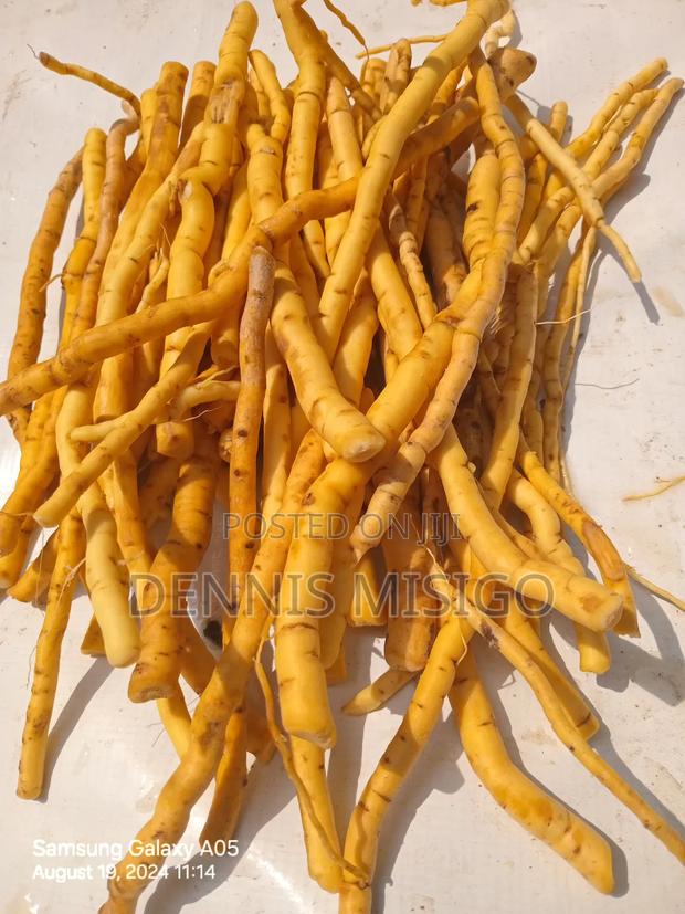 Mukombero Fresh Roots and Powder - thumbnail 6