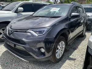 Toyota RAV4 LE FWD (2.5L 4cyl 6A) 2017 Gray