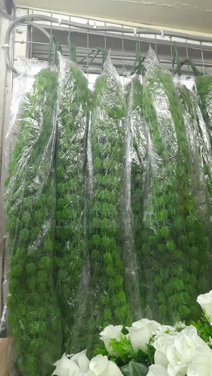 Vines KSH Offer Price