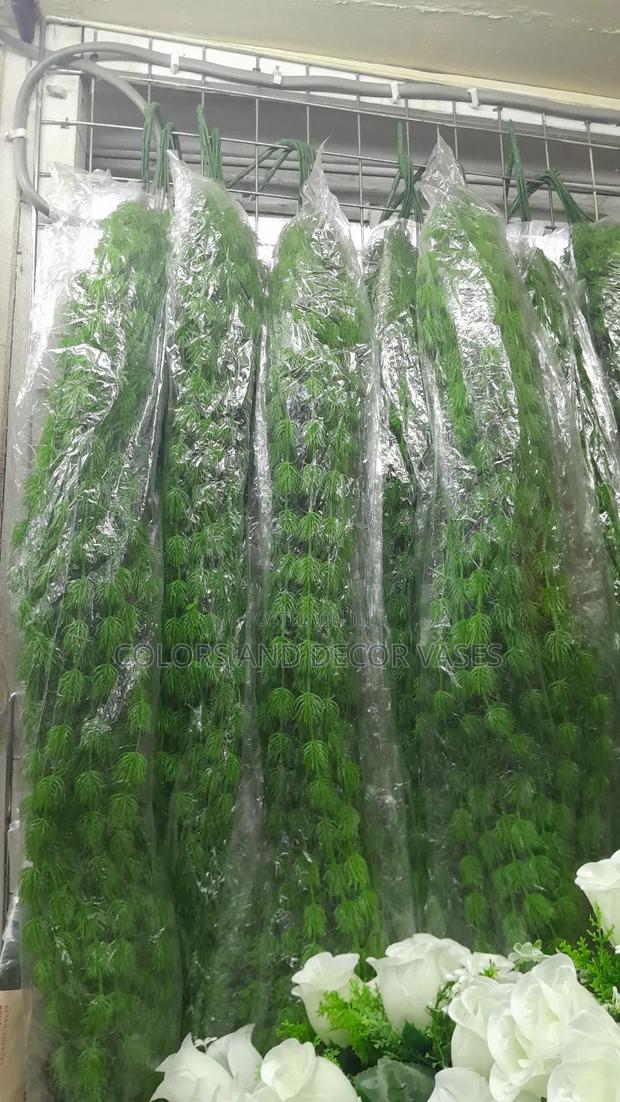 Vines KSH Offer Price - main view