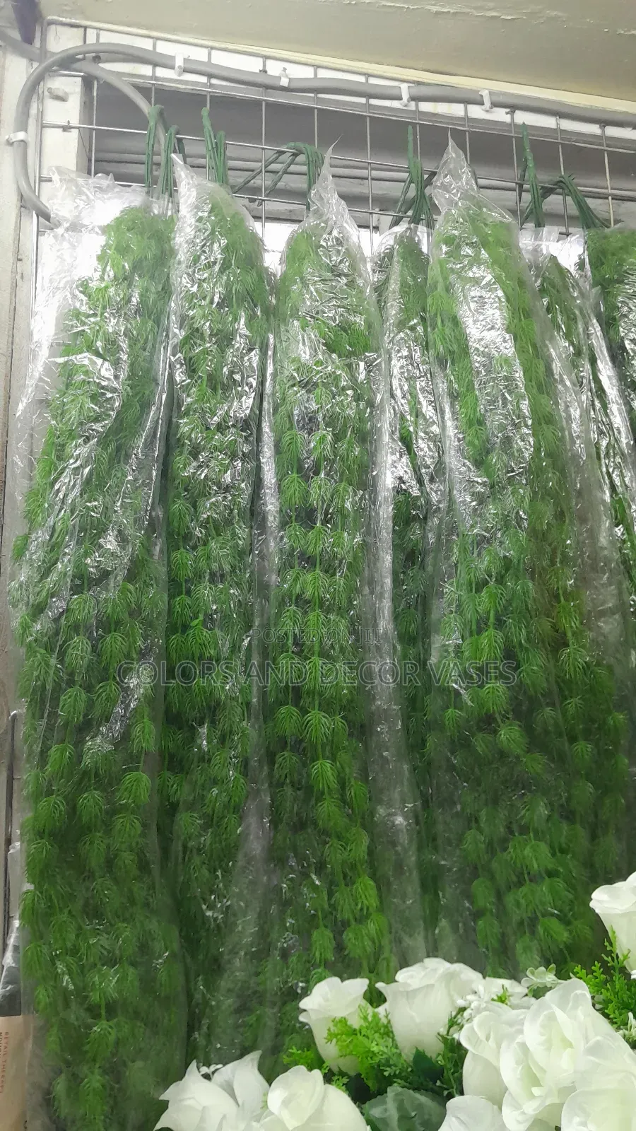 Vines KSH Offer Price