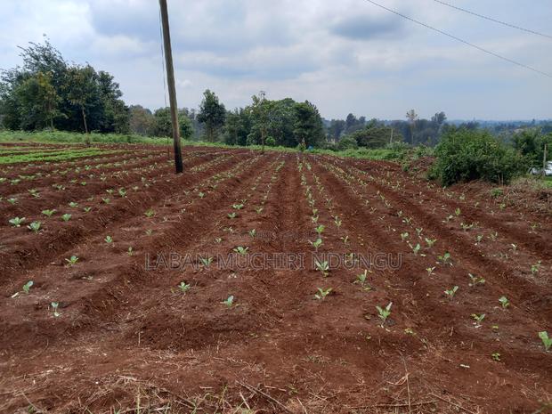 Mixed Use Land - main view