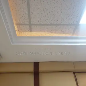 Amstrong Acoustic Ceiling 1