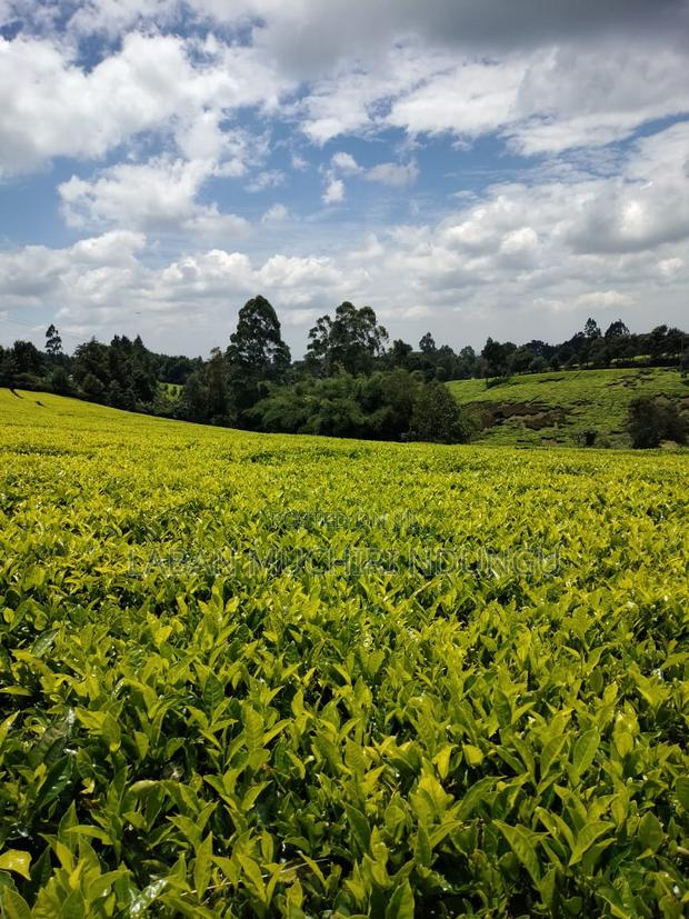 Quick Sale - main view