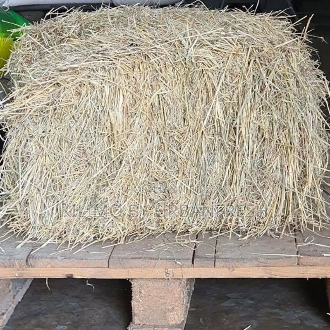 Star Grass Hay 13-15kgs (Moq 10) for Livestock