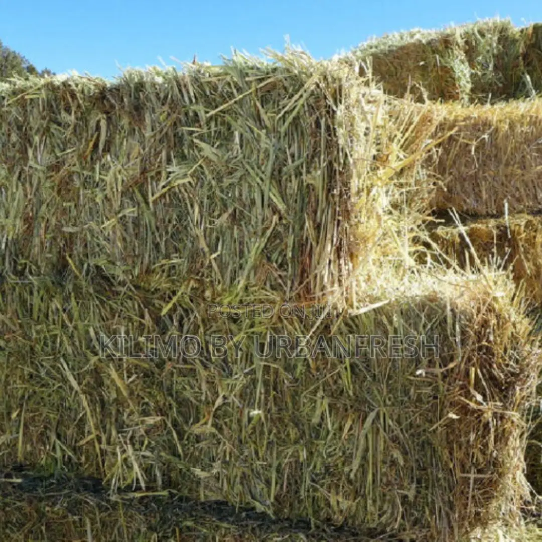 Lucerne Hay 13-15kgs (Moq 10) for Livestock.