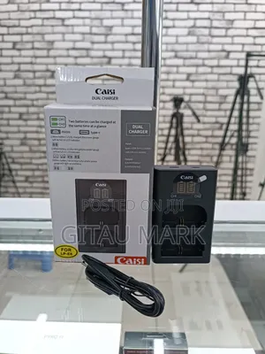 Caisi LPE6 Dual Battery Charger
