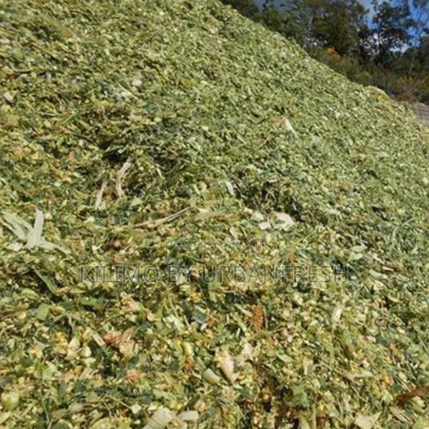 Maize,Corn,Chopped Baled (Chopped 10p/Kg) 10 Tonnes