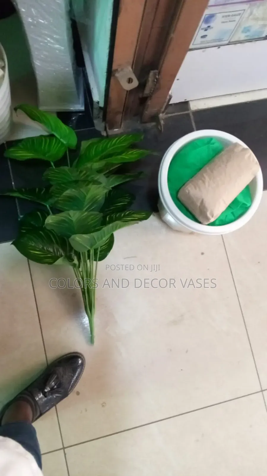Zebra Plant With Vase and Pebble Stones