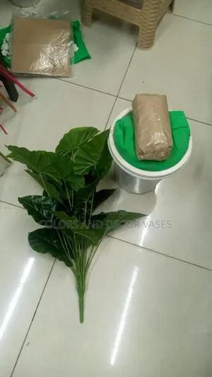Plain Green Plant With Vase and Decorative Stones