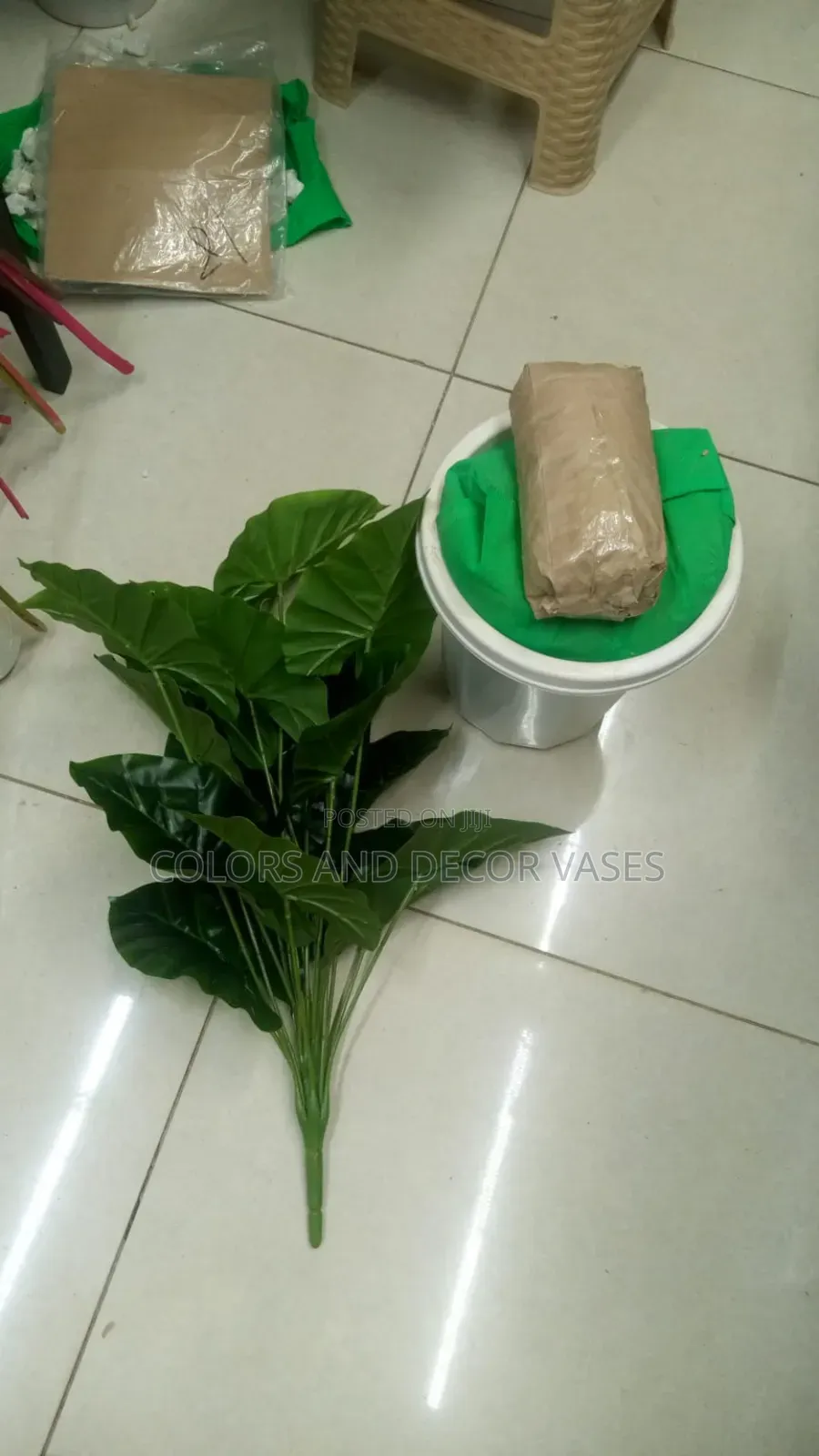 Plain Green Plant With Vase and Decorative Stones