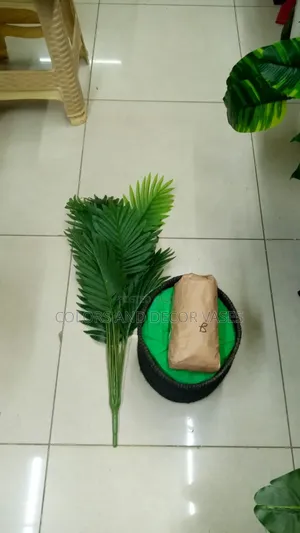 Palm Plant With Basket