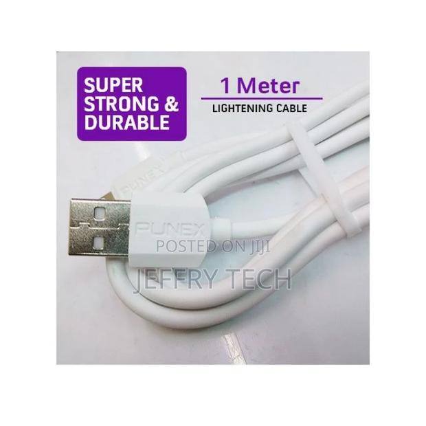 Punex 1 Meter Charger USB Cable for iPhone
