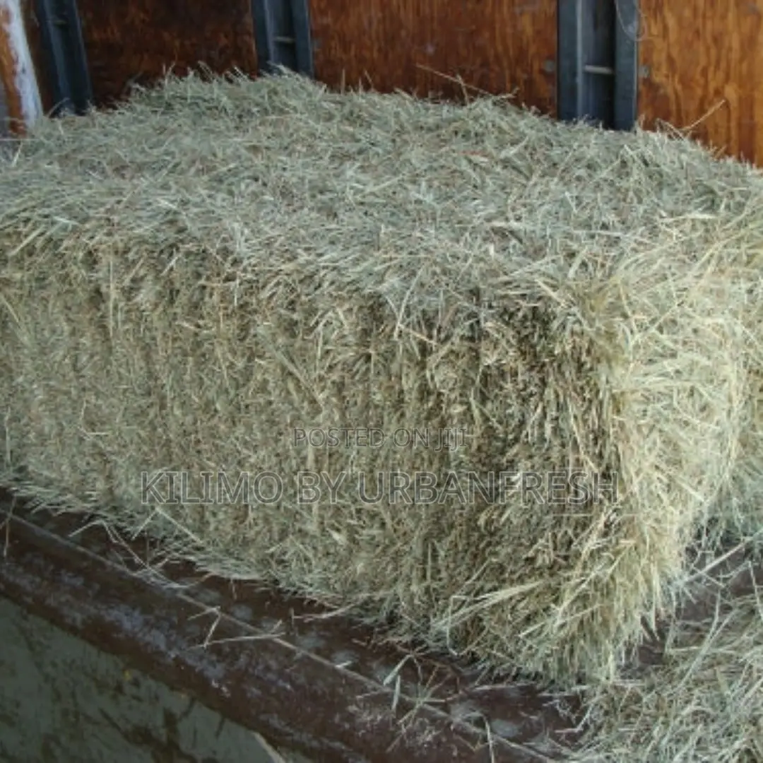 Sorghum Chopped Baled (27p/Kg) 10 Tonnes
