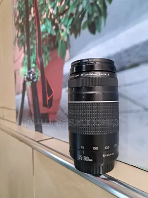 Canon Lense