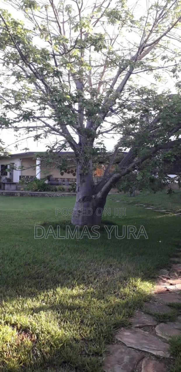 Furnished 4bdrm Villa in Malindi for sale - thumbnail 6