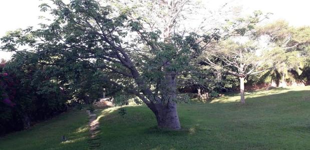 Furnished 4bdrm Villa in Malindi for sale - thumbnail 8
