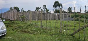 1⁄4 Plot for Sale in Kapseret Eldoret City - thumbnail 2