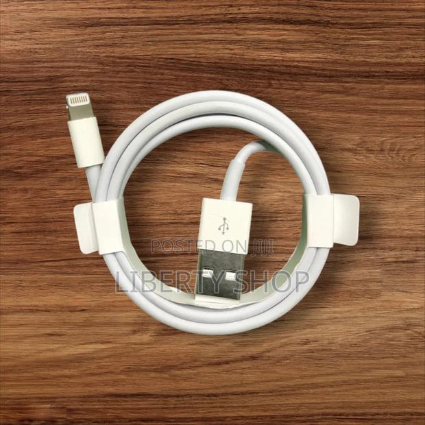 Genuine iPhone Cable/ USB to iPhone Cable - main view