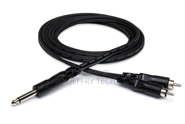 Y Cable 1/4 in TS to Dual RCA