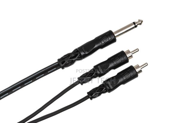 Y Cable 1/4 in TS to Dual RCA - thumbnail 2