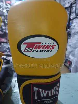 Twins Boxing Gloves