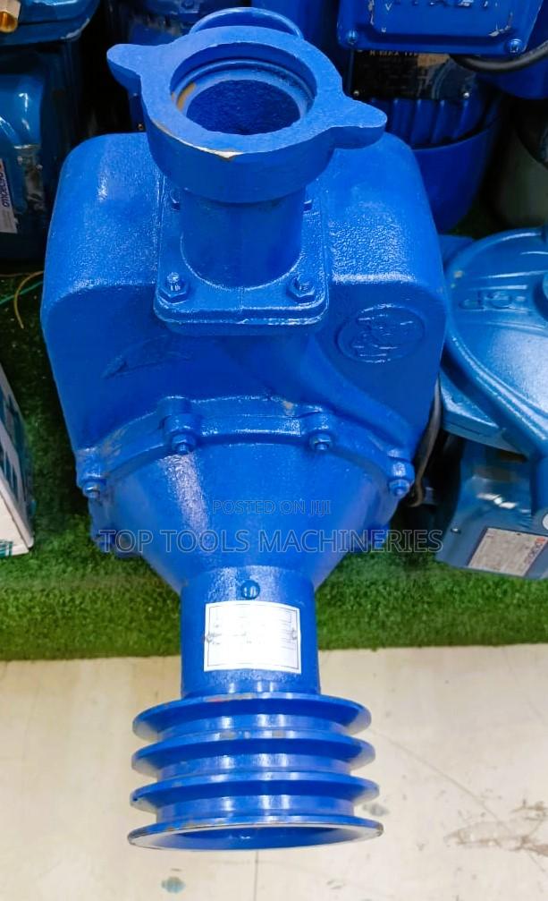 Bare Pump 2" Inch 55m Head - main view