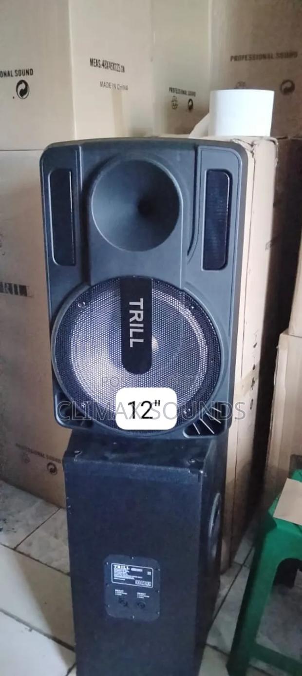 Trill 12 " Powered Speakers 2 Microphone