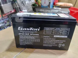 Durable Gaston 12v7ah Ups Battery
