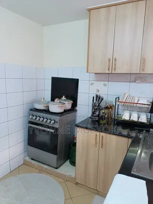 Fully Furnished 1 Bedroom Apartments Near Jkia SGR