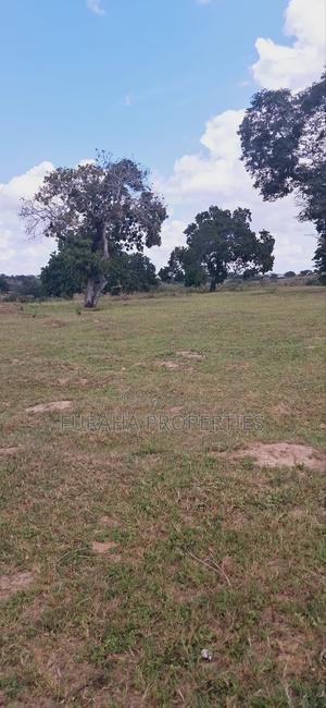 For Sale 1.1acre Land Dongo Kundu Bypass - thumbnail 2