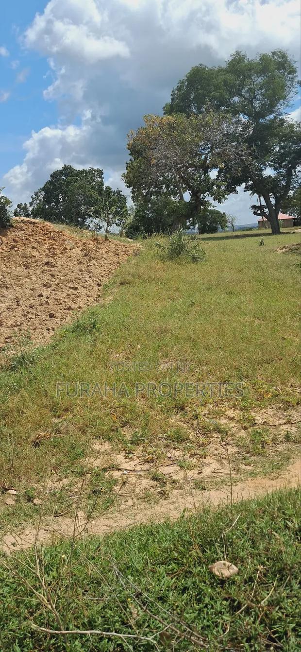 For Sale 1.1acre Land Dongo Kundu Bypass - thumbnail 3