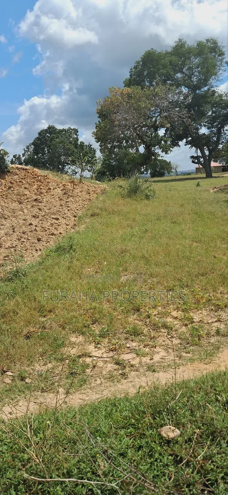 For Sale 1.1acre Land Dongo Kundu Bypass
