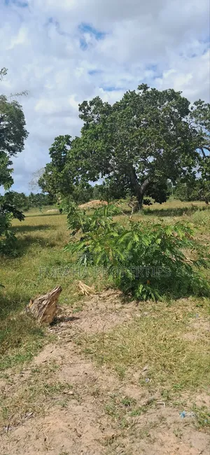 For Sale 1.1acre Land Dongo Kundu Bypass