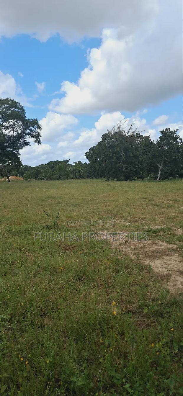 For Sale 1.1acre Land Dongo Kundu Bypass - thumbnail 5