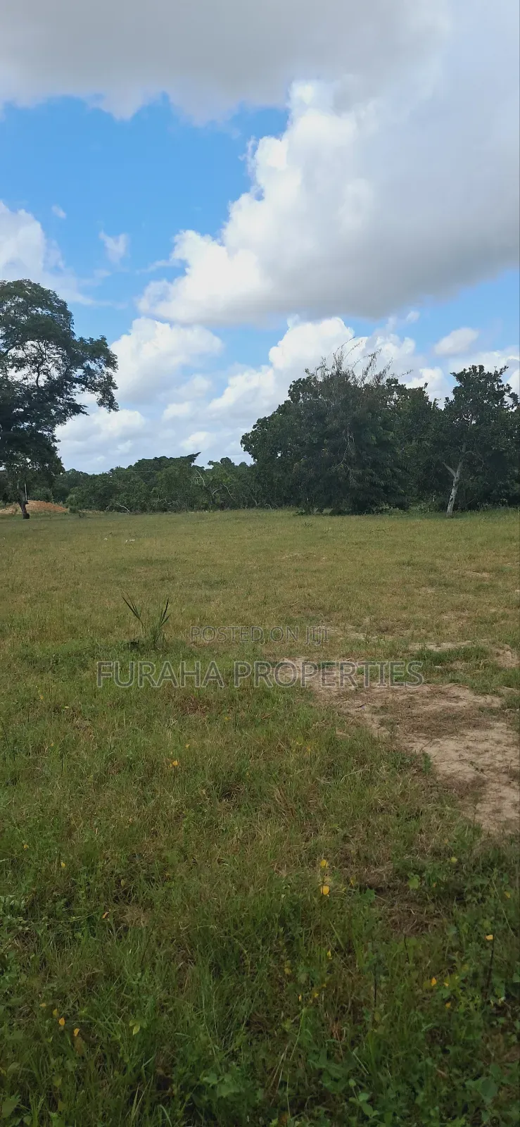 For Sale 1.1acre Land Dongo Kundu Bypass