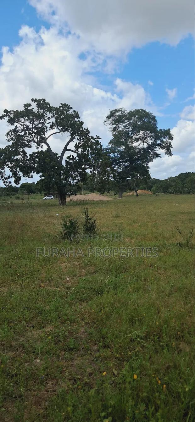 For Sale 1.1acre Land Dongo Kundu Bypass - thumbnail 6