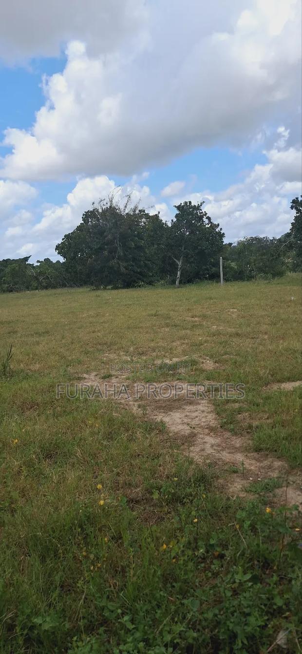 For Sale 1.1acre Land Dongo Kundu Bypass - thumbnail 7