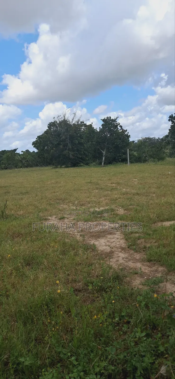 For Sale 1.1acre Land Dongo Kundu Bypass